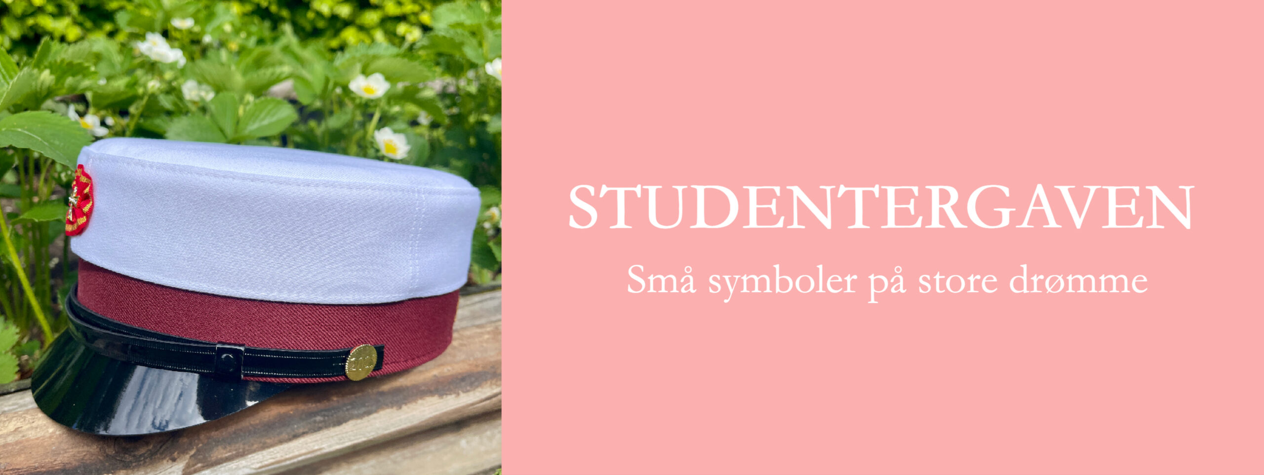 Studenter -slider stor 2026